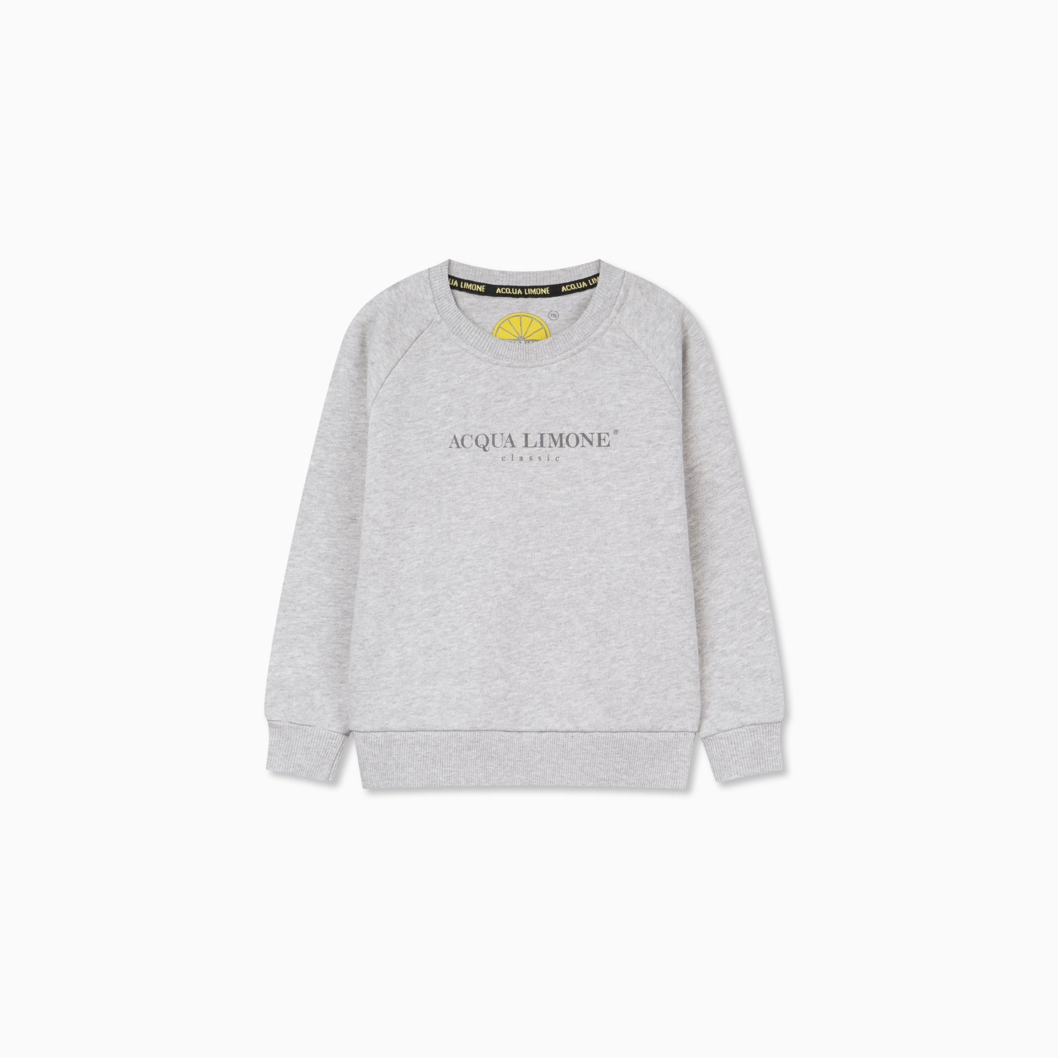 Kids College Sweatshirt – American Grey