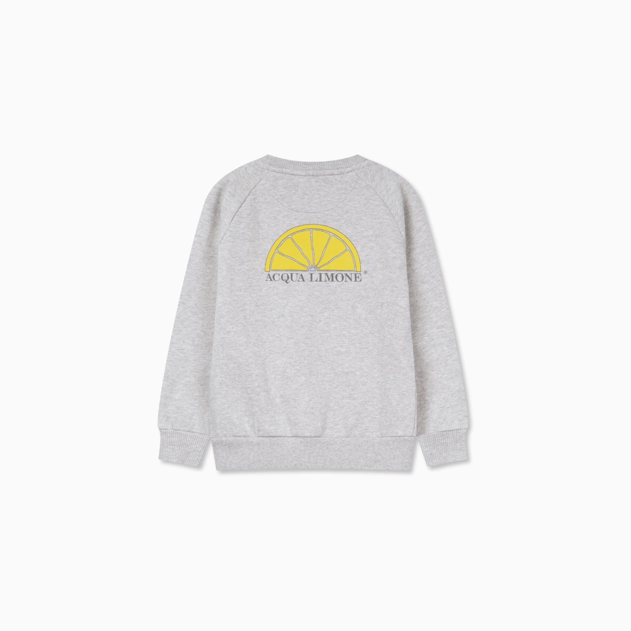 Kids College Sweatshirt – American Grey
