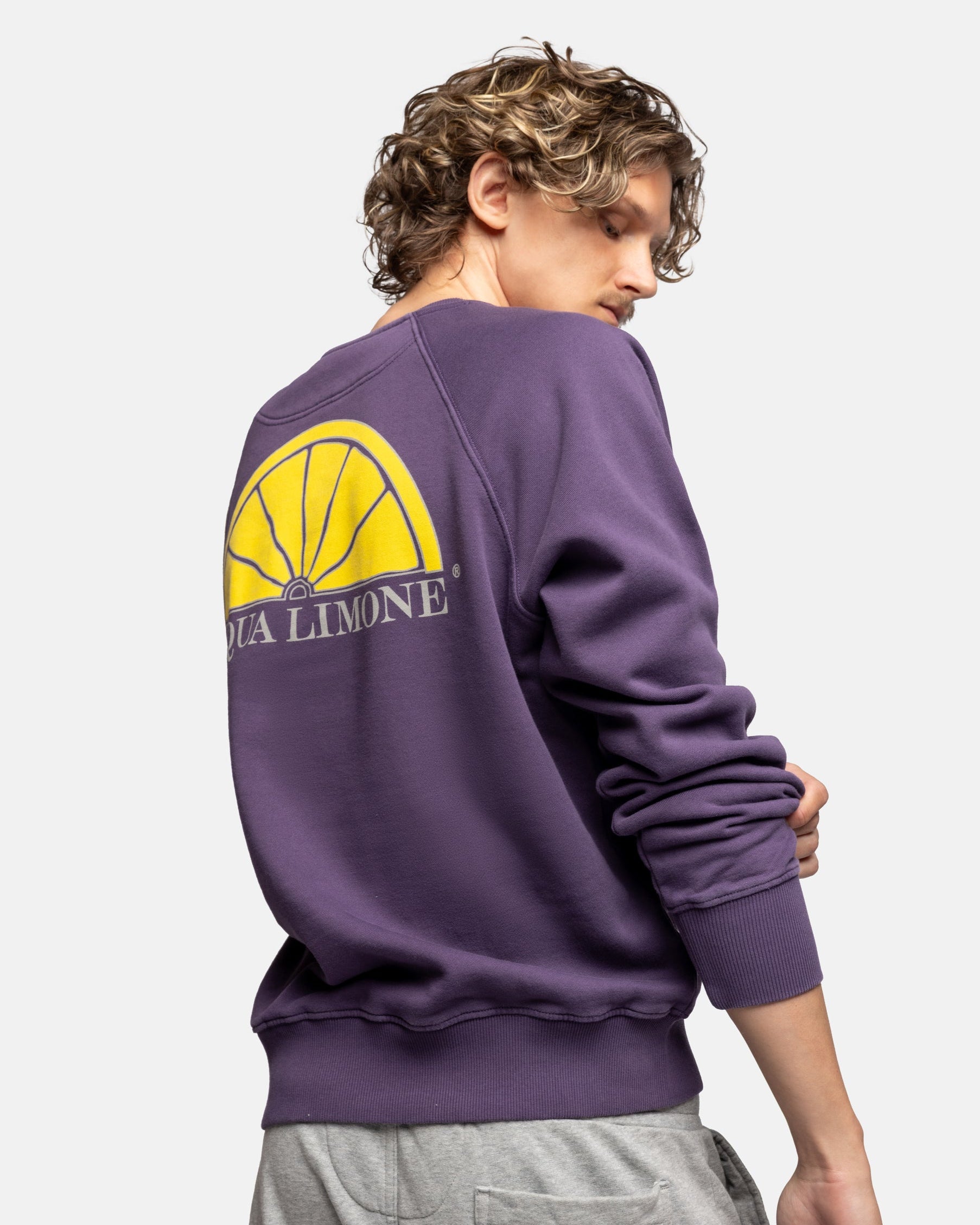College Classic - Purple